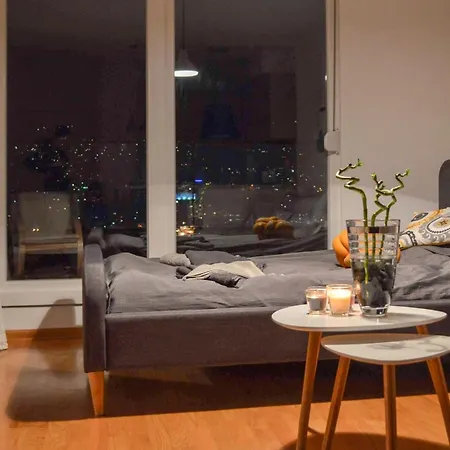 Apartment Cozy Brand New Studio